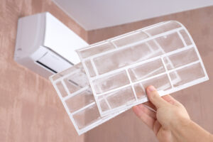 shutterstock 1759621991